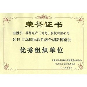 2019青島國際軟件融合創(chuàng)新博覽會(huì)優(yōu)秀組織單位